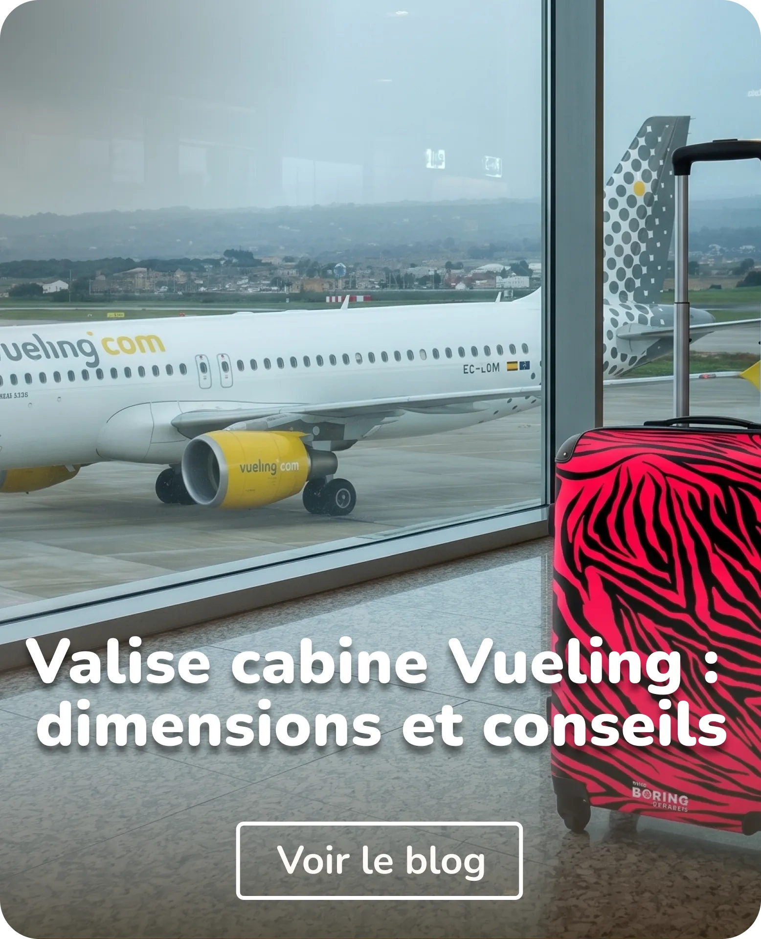 valise pour avion Vueling