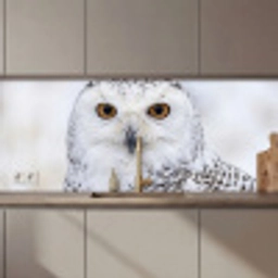 Sneeuwuil - Oog - Wildlife - Wit keuken achterwand 2 middel zz_3dshopping