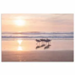 Zee - Vogels - Strand poster papier klein -3d