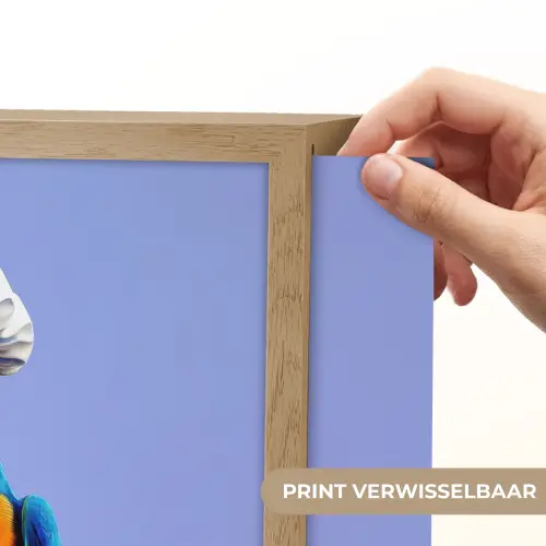 Papegaai - Koksmuts - Vogel - Leuk Light Box met batterij (Wandlamp) middel -USP_websiteprintNL