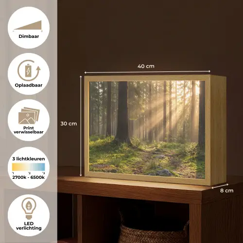 Bos - Zonlicht - Gras Light Box met batterij (Wandlamp) middel -USP_websiteoverzichtNL