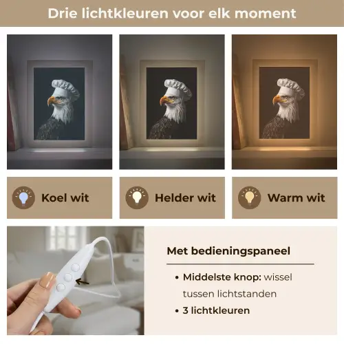 Arend -Amerika - Koksmuts - Vogel - Stoer Light Box met kabel (Tafellamp) klein -USP_lichtkleurNL
