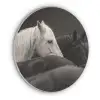 Paarden - Zwart - Wit - Kudde Akoestische PET Vilt - Rond klein -3d
