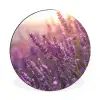 Lavendel - Paars - Zonlicht Wandcirkel aluminium klein -3d