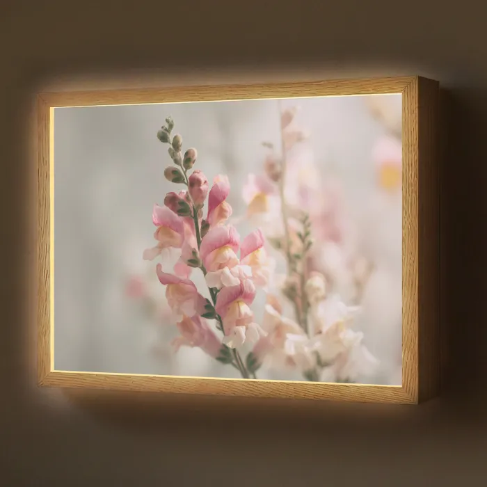 Bloem - Leeuwenbek - Roze - Stengel Light Box met batterij (Wandlamp) middel -z3d_website