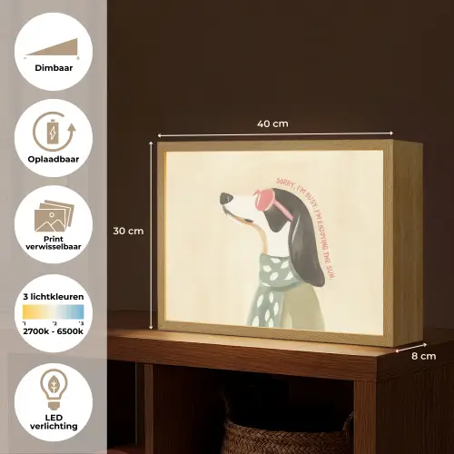 Quote - Hond - Zonnebril Light Box met batterij (Wandlamp) middel -USP_websiteoverzichtNL