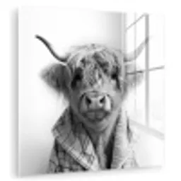 Schotse Hooglander - Koe - Badjas - Zwart wit plexiglas 5mm klein -zzzproduct_nieuw