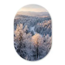 Bos - Bergen - Goud - Winter - Warm Wandcirkel Ovaal Forex klein -3d