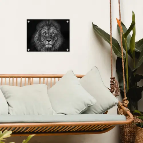 Zwart-wit portret van een leeuw tuinposter los doek klein -sfeer7