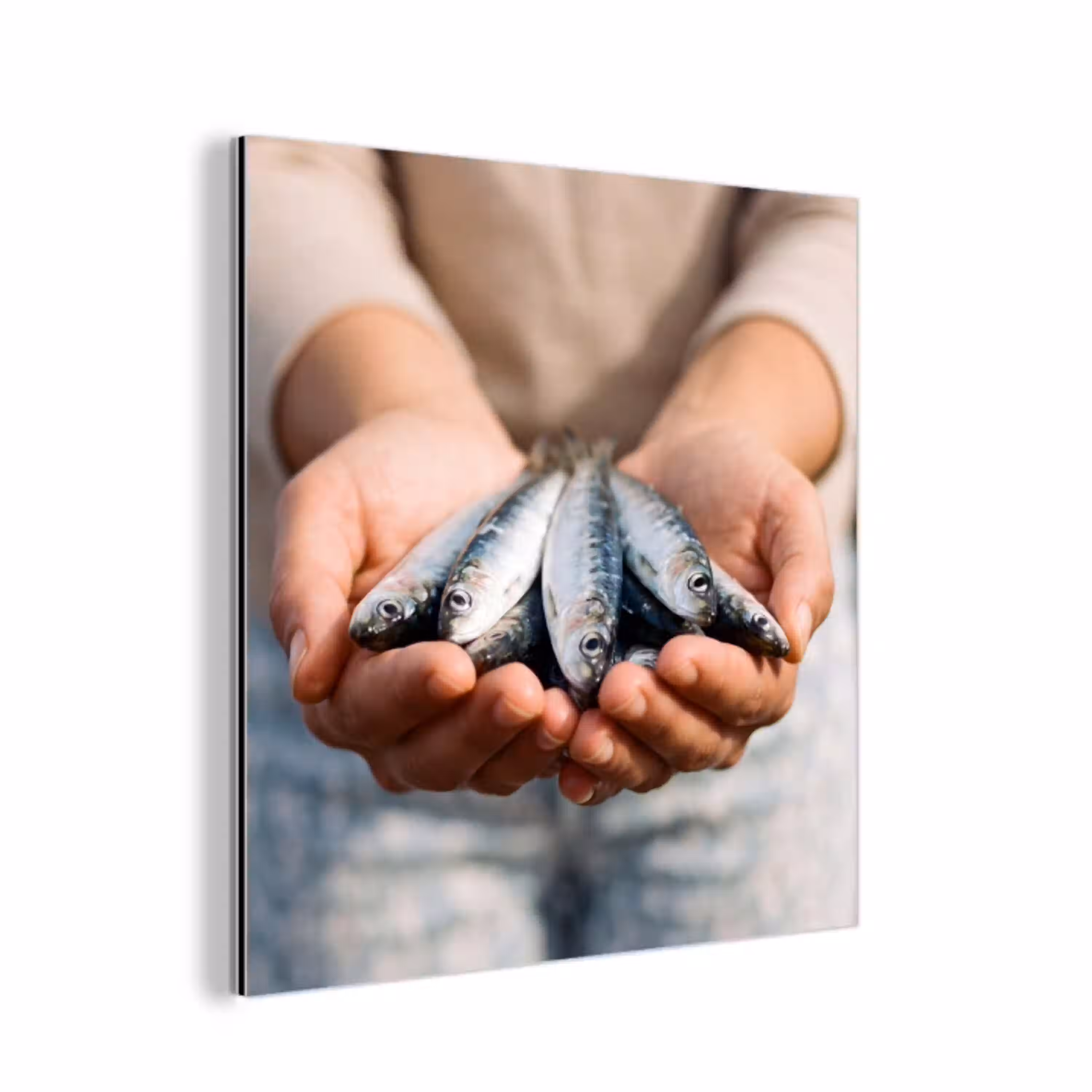 Vis - Handen - Natuur aluminium wit klein -3d