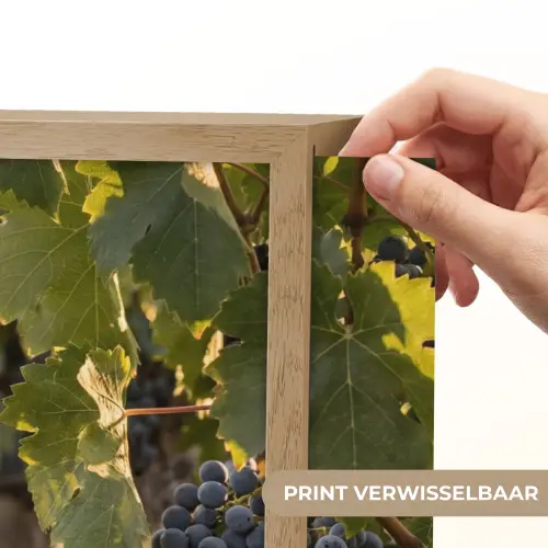 Druiven - Wijngaard - Zonlicht Light Box met batterij (Wandlamp) middel -USP_websiteprintNL