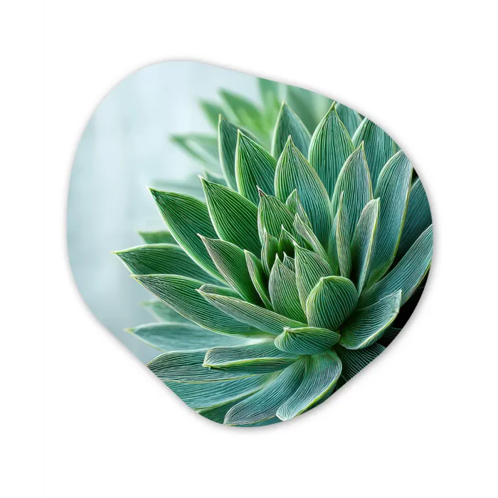 Vetplant - Bladeren - Groen - Wazig Wandcirkel Organisch Forex 3mm klein -3d