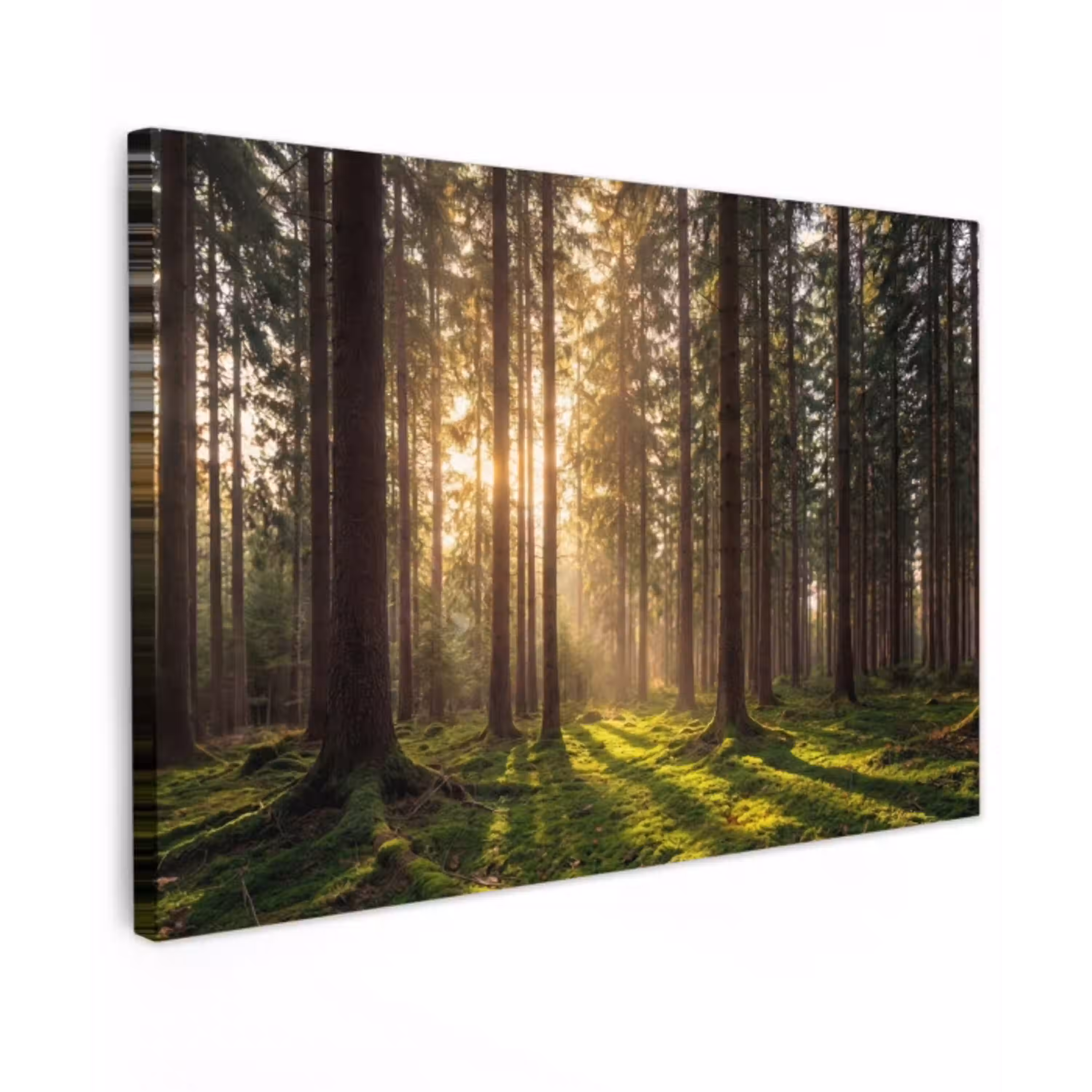 Bos - Gras - Zonlicht Tuinposter op houten frame 2 cm dik klein -3d