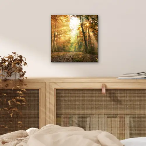 Bos - Herfst - Zon - Landschap - Natuur - Bomen - Bladeren aluminium wit klein -sfeer3