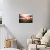 Bloemen - Roze - Zonsondergang - Natuur - Weide - Horizon Tuinposter op houten frame 2 cm dik klein -sfeer1
