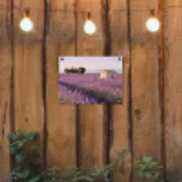 Lavendel - Landschap - Sereen - Paars tuinposter los doek klein -sfeer1