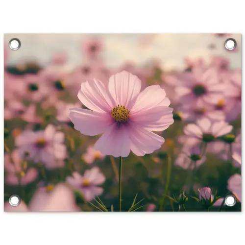 Bloemen - Paars - Wazig tuinposter los doek klein -3d