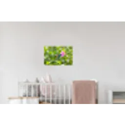Kolibrie - Bloem - Natuur - Groen Muursticker klein -kinderkamer
