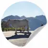 Schotse hooglander - Licht - Berg - Natuur Wandcirkel behangsticker klein -3d