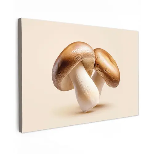 Champignons - Zacht - Beige canvas 2cm klein -z3d