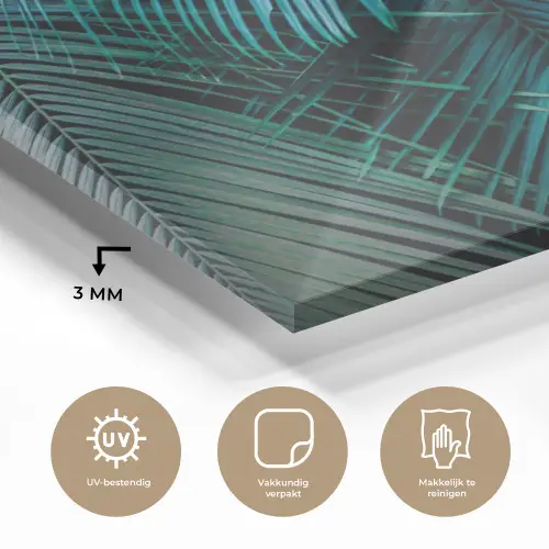 Inductie mat - Jungle - Inductie beschermer - Palmblad - Natuur plexiglas 5mm klein -sfeer2