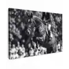 Springen - Paard - Zwart - Wit Tuinposter op houten frame 2 cm dik klein -3d