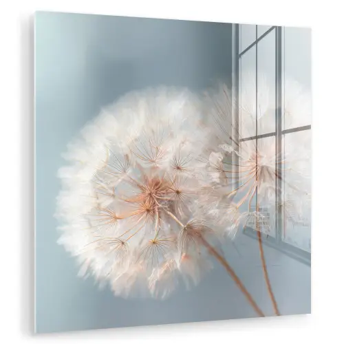 Paardenbloemen - Pluisjes - Wit plexiglas 5mm klein -zzzproduct_nieuw