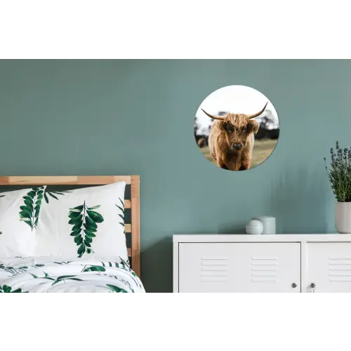 Schotse Hooglander -  Koe - Gras - Dieren - Natuur Wandcirkel aluminium klein -slaapkamer
