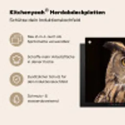 Oehoe - Uil - Portret - Bruin Inductie beschemer met haakjes klein -ky-usp-de