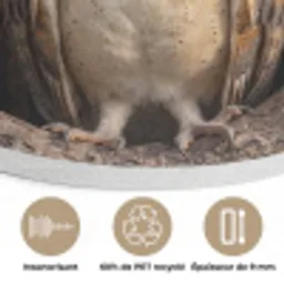 Kerkuil - Boom - Natuur - Bruin Akoestische PET Vilt - Rond klein -closeup_FR