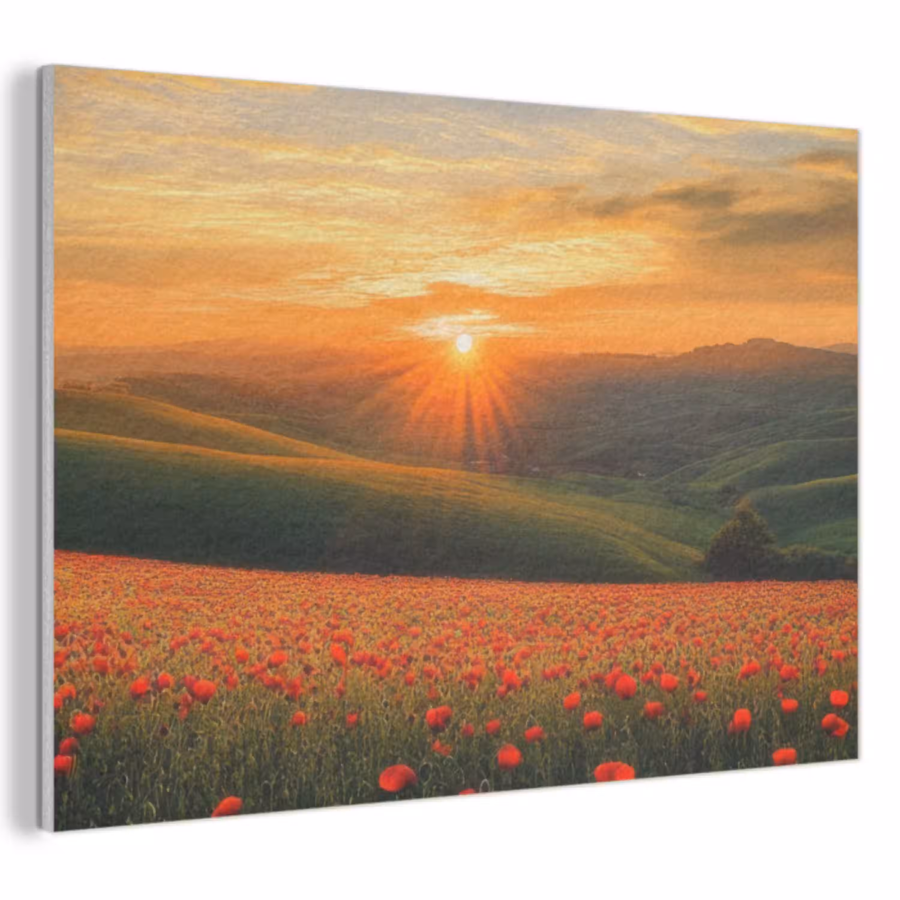Klaprozen - Bloemen - Heuvels - Zonsondergang PET vilt klein -3d