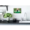 Badkamer - Kattenparade - Kleurrijk Muursticker klein -keuken