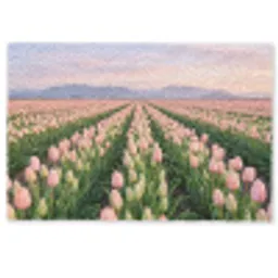 Tulpen - Landschap - Roze Deurmat klein -zkaufland3d