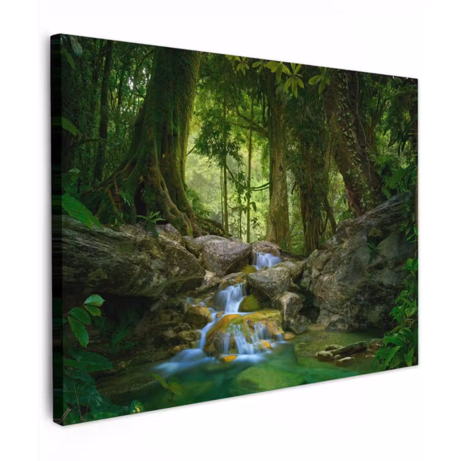 Canvas schilderij - Jungle - Stenen - Water - Natuur - Planten