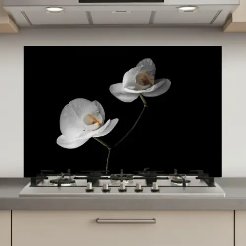 Orchidee - Bloemen - Zwart - Wit - Stilleven keuken achterwand spatscherm klein -3d_website