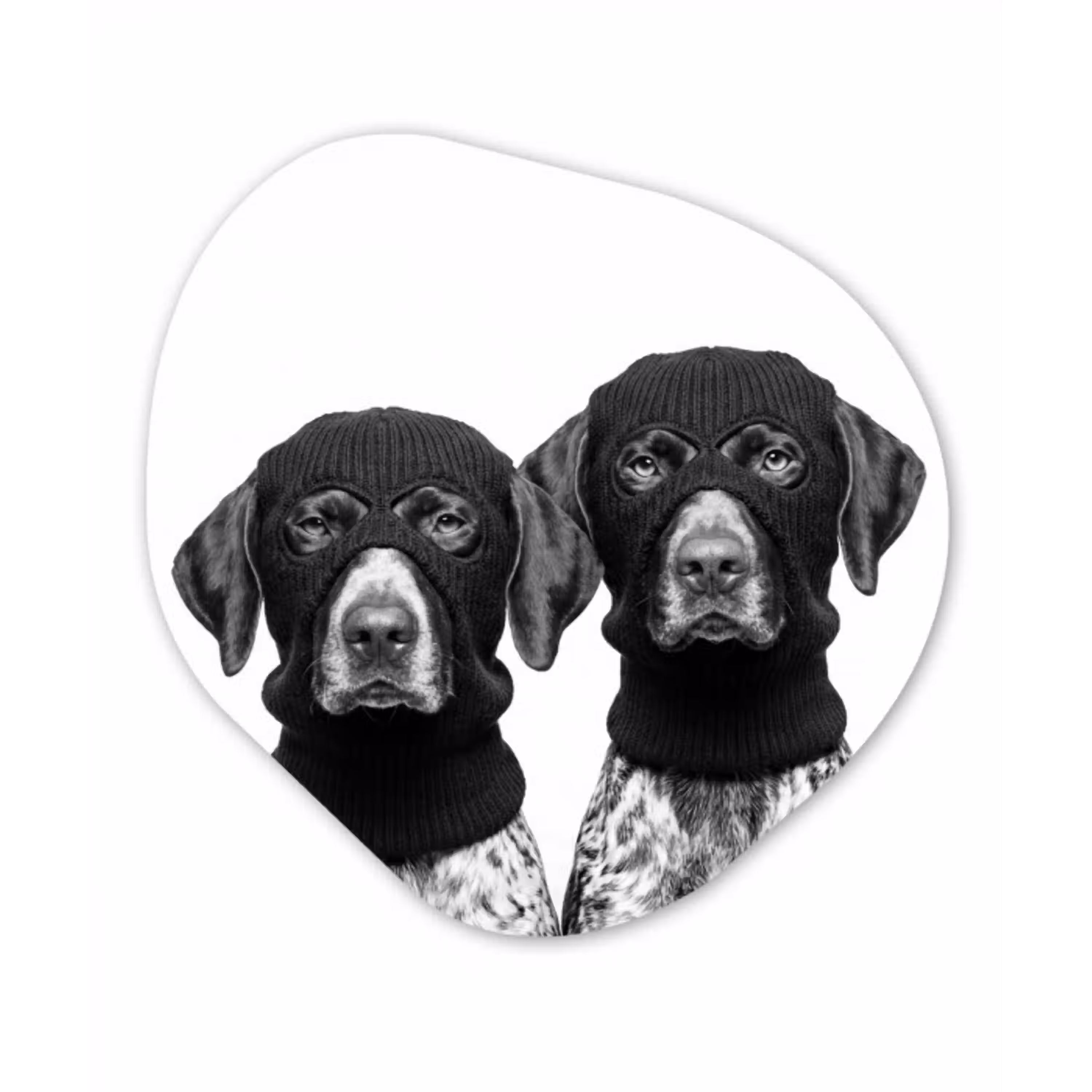 Honden - Bivakmuts - Zwart - wit Wandcirkel Organisch Aluminium middel -3d