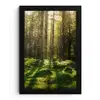 Bomen - Bos - Mos - Planten - Zon - Natuur fotolijst zwart zonder passe partout klein -3d