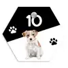 Zwart wit - Huisdier - Jack Russel Naambord Hexagon klein -3d