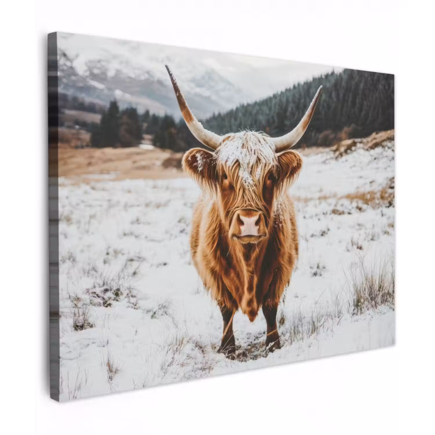 Leinwandbild - Schottische Highlander - Landschaft - Schnee - Berge - Winter