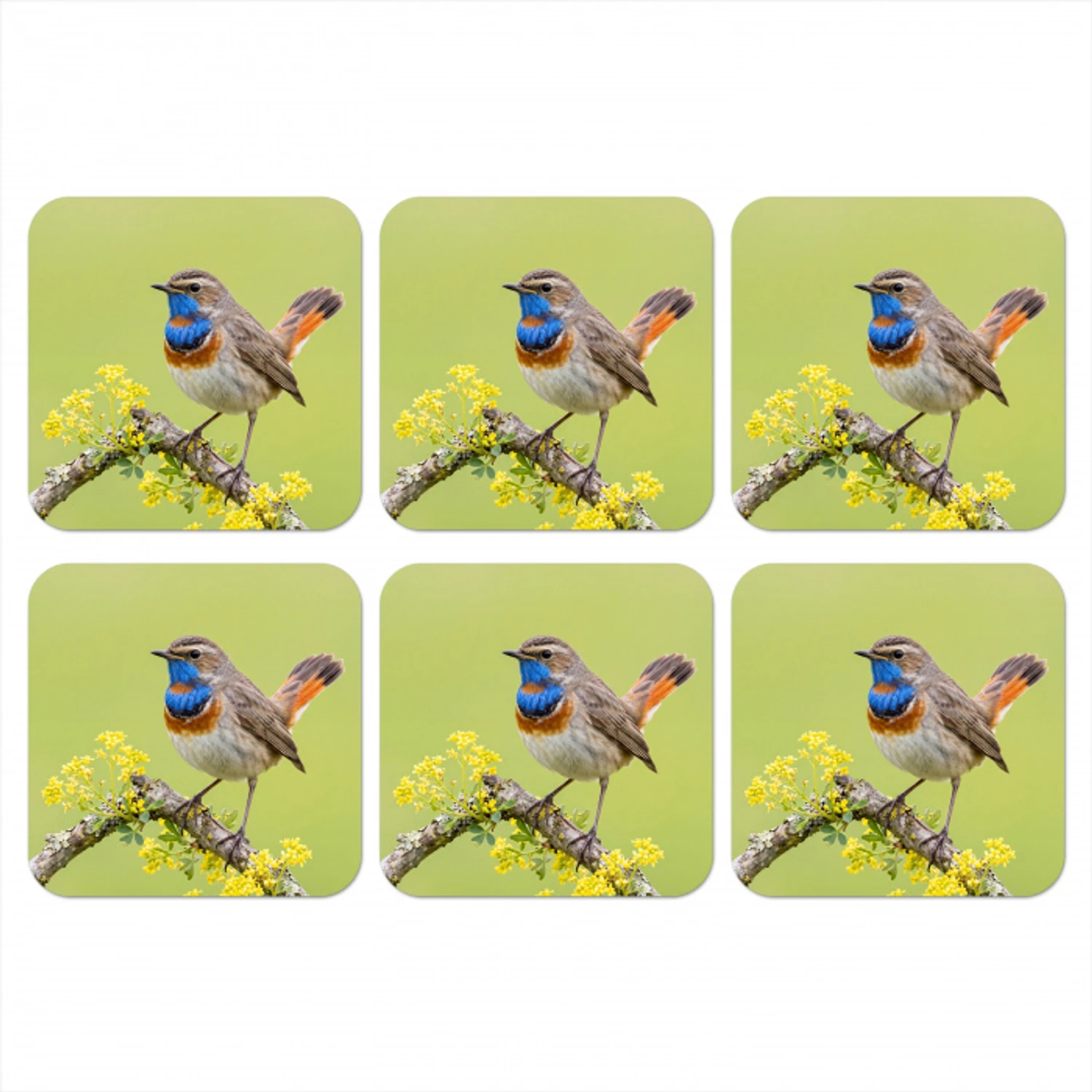 Vogel - Tak - Natuur - Kleurrijk onderzetter kurk middel -3d