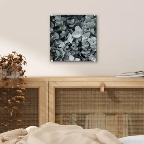 Natuur - Planten - Eucalyptus - Bladeren plexiglas 5mm klein -sfeer4