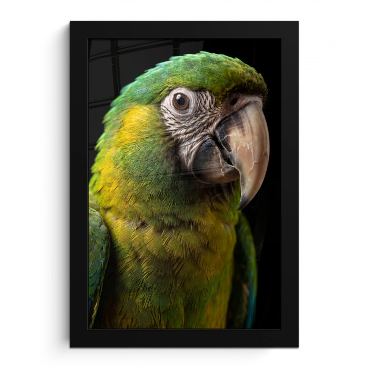 Ara - Portret - Groen fotolijst zwart zonder passe partout klein -3d