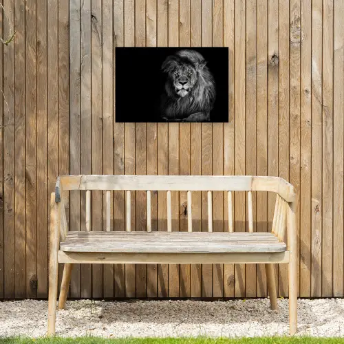 Majestueuze leeuw in de duisternis Tuinposter op houten frame 2 cm dik klein -sfeer4