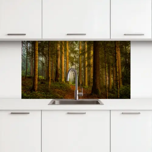 Bos - Natuur - Bomen - Landschap - Bladeren keuken achterwand 2 middel -3d