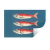 Vissen - Rood - Blauw Muursticker klein -3d