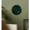 Bladeren - Ovaal - Groen - Nerven Wandcirkel behangsticker klein -sfeer2