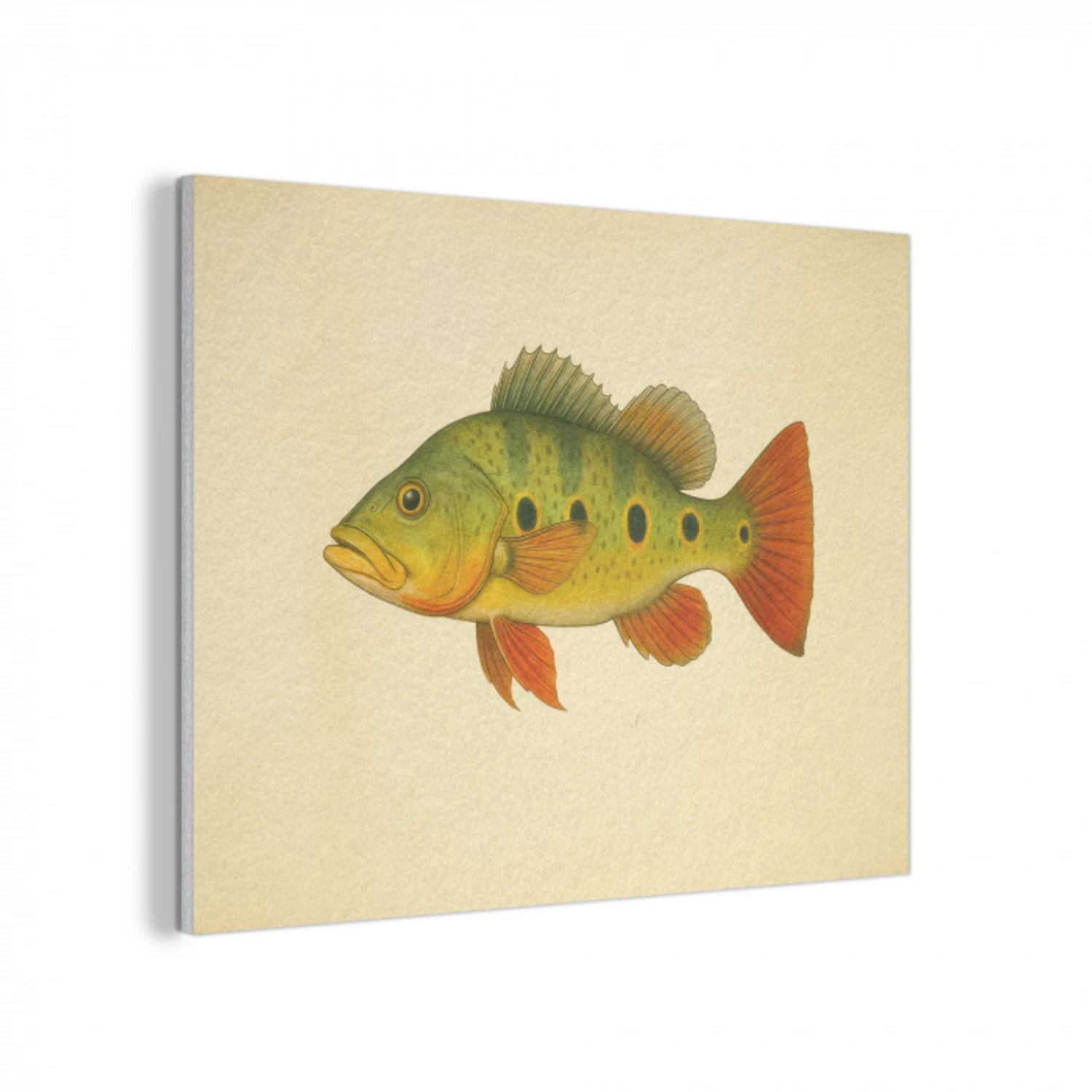 Schubben - Vis - Groen - Illustratie PET vilt klein -3d