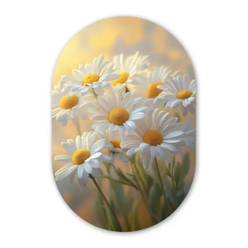 Madeliefjes - Wit - Zonlicht Wandcirkel Ovaal Glas middel -3d