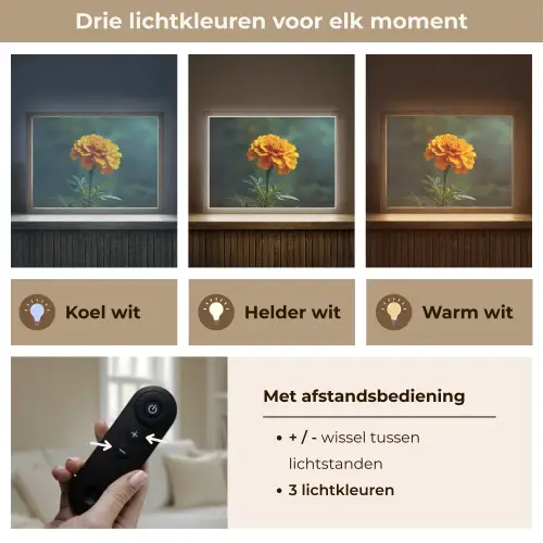 Bloemblaadjes - Afrikaan - Oranje - Wazig Light Box met batterij (Wandlamp) middel -USP_lichtkleurNL