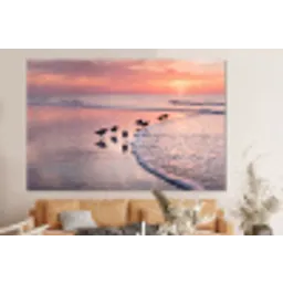 Meeuwen - Strand - Zee - Roze forex 5mm xxl -bovenbank